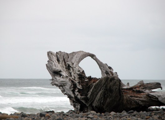 Driftwood